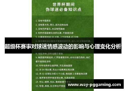 超级杯赛事对球迷情感波动的影响与心理变化分析