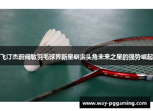 飞汀杰蔚阀敏羽毛球界新星崭露头角未来之星的强势崛起