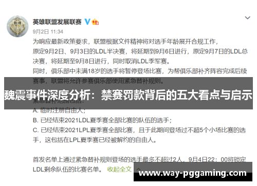 魏震事件深度分析：禁赛罚款背后的五大看点与启示