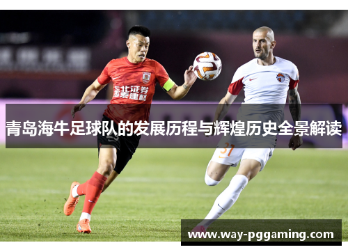 青岛海牛足球队的发展历程与辉煌历史全景解读 青岛海牛足球队的发展历程与辉煌历史全景解读