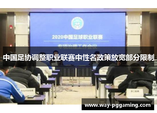 中国足协调整职业联赛中性名政策放宽部分限制 中国足协调整职业联赛中性名政策放宽部分限制